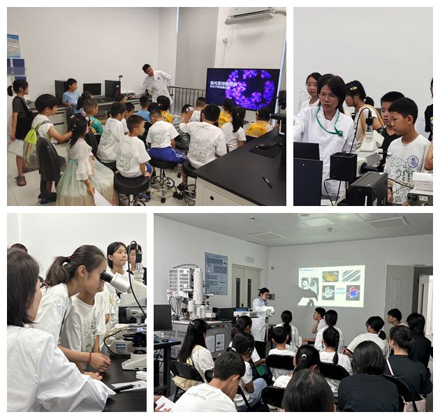 image-20241022153532-1